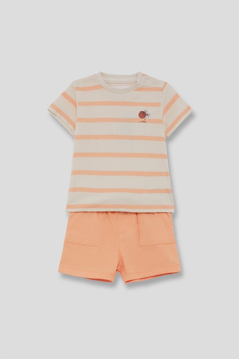 Conjunto Palmeras Niño - Imagen 3